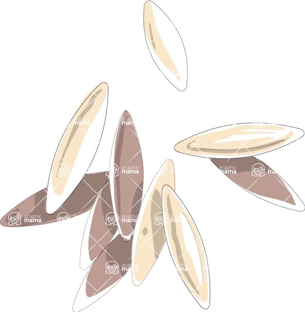 Italy Themed Graphic Collection - Risoni Vector Pasta